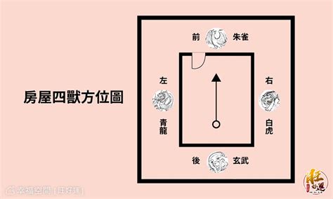 左虎右龍|左龍右虎：2024風水趨勢